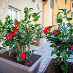 Casa Perlasca Semesterbostad Cernobbio