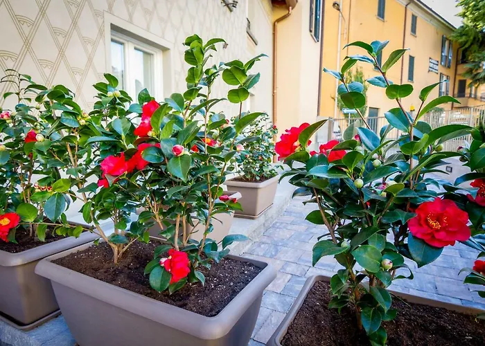 Casa Perlasca Ferienhaus Cernobbio